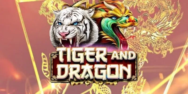 Guide to playing Dragon Tiger accurately